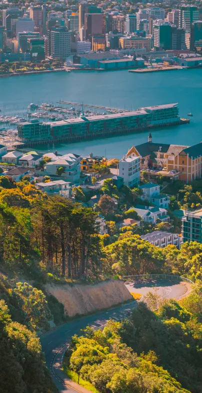 Elevated shot of Wellington New Zealand